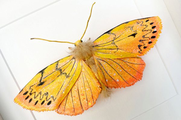 Vivid handmade Rosy Footman Moth with fluffy body and intricate orange, yellow, and black wing patterns.