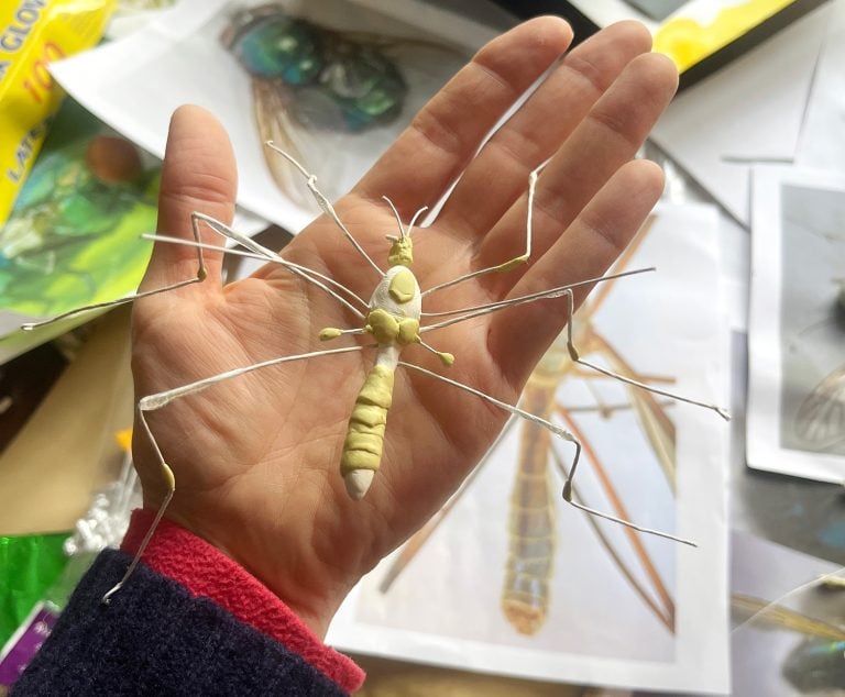 The wire frame and initial sculpting of the Daddy long legs